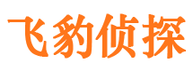 历城侦探公司